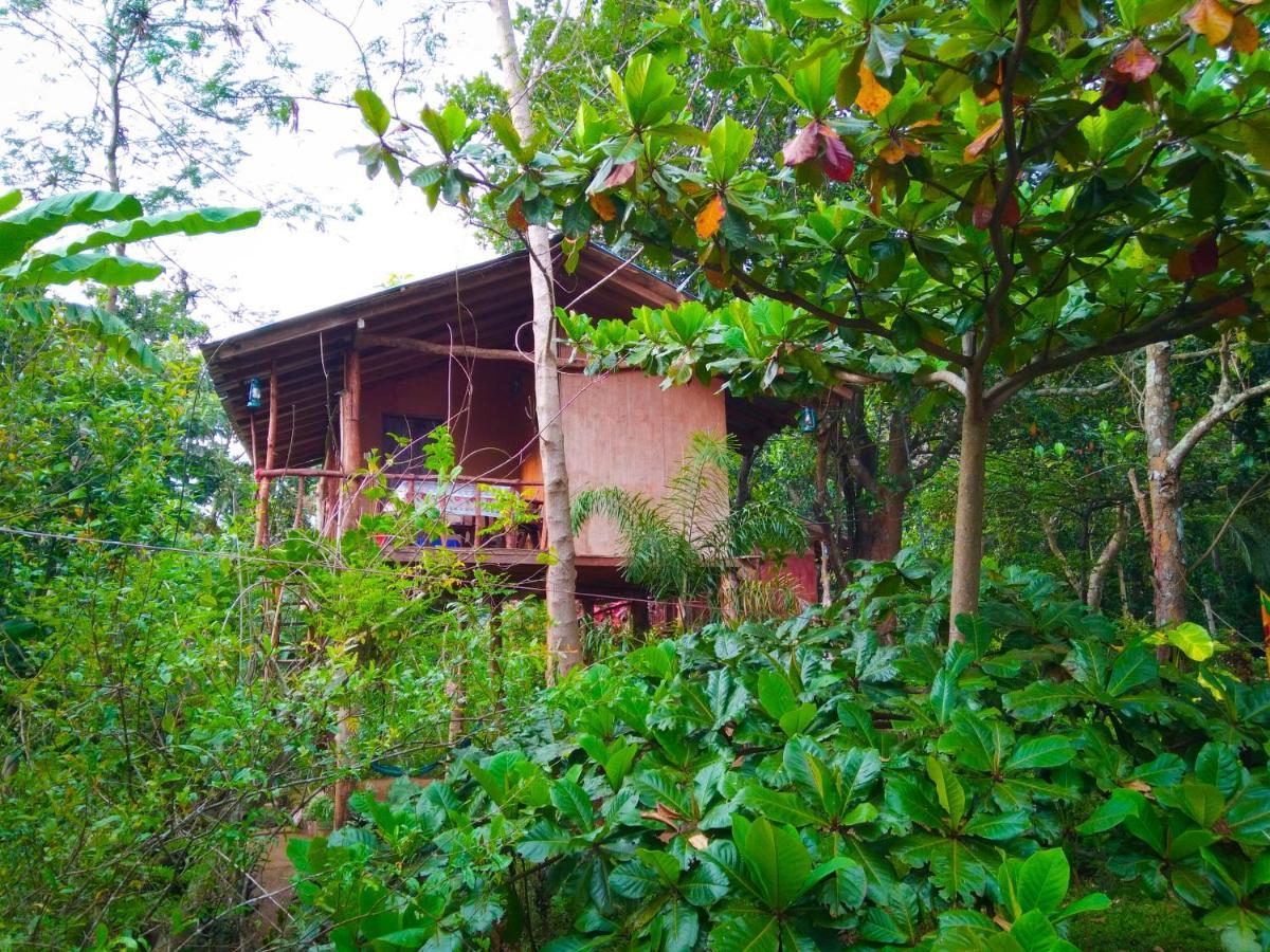 Appartamento Akash Treehouse Sigiriya Esterno foto