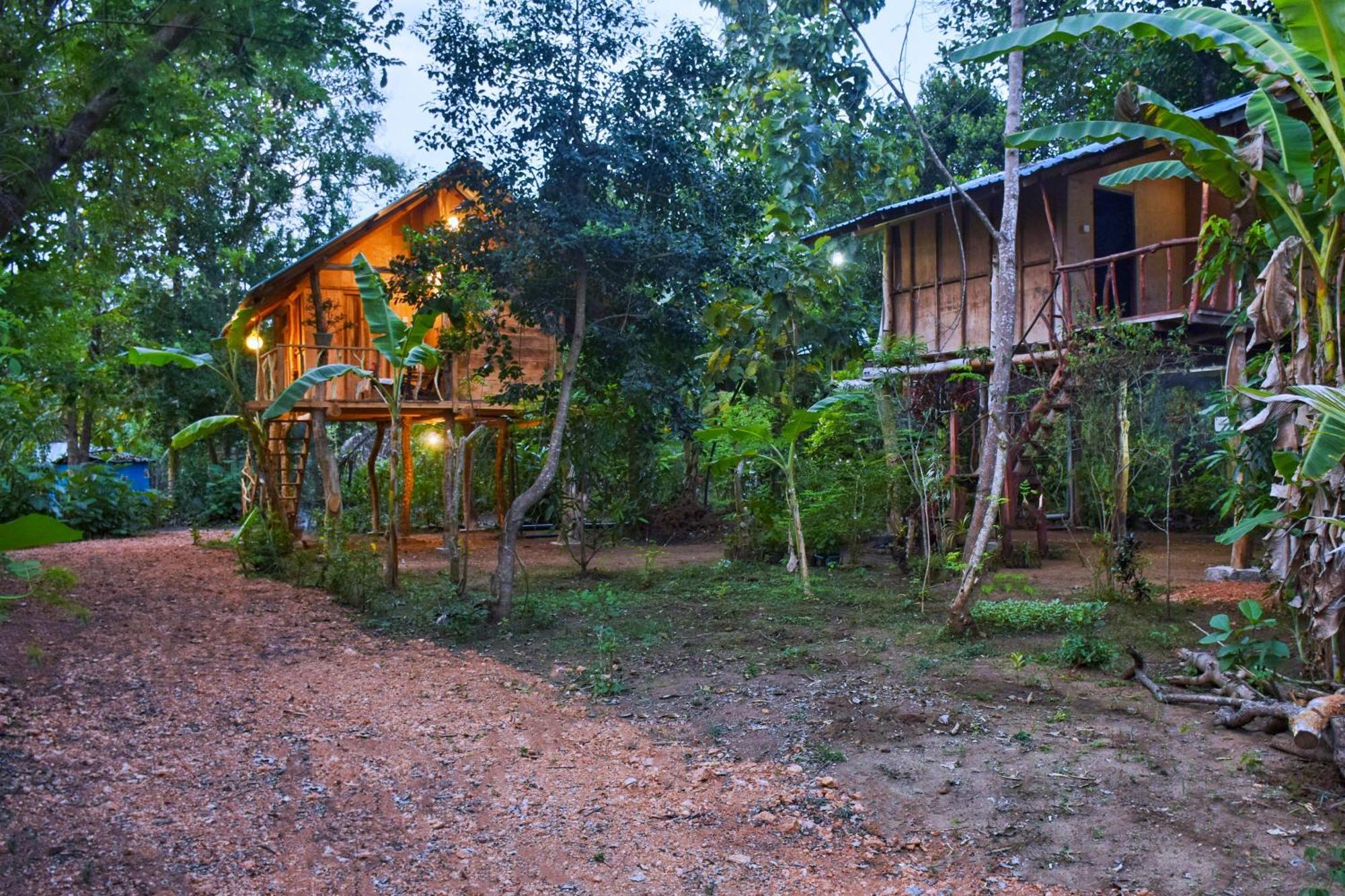 Appartamento Akash Treehouse Sigiriya Esterno foto