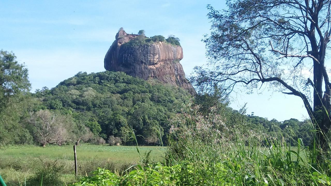 Appartamento Akash Treehouse Sigiriya Esterno foto