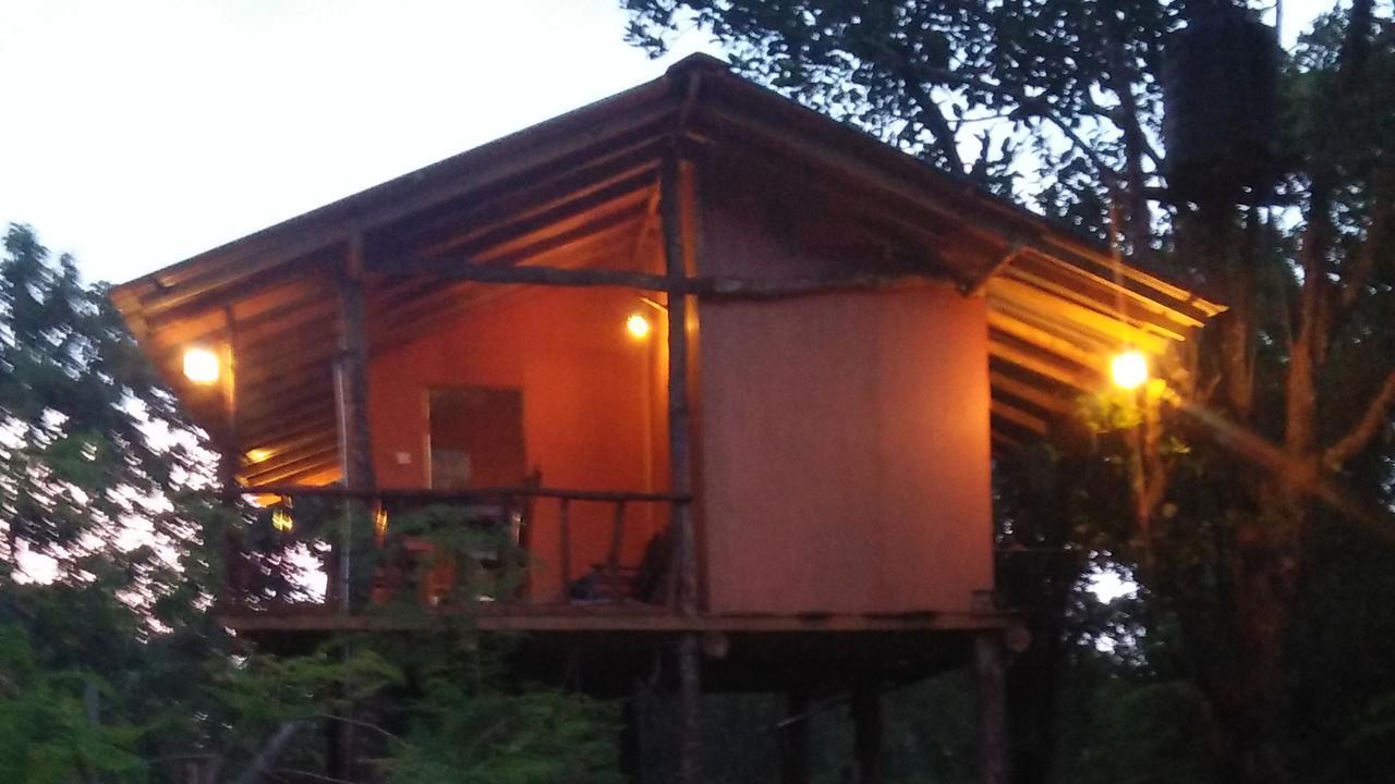 Appartamento Akash Treehouse Sigiriya Esterno foto