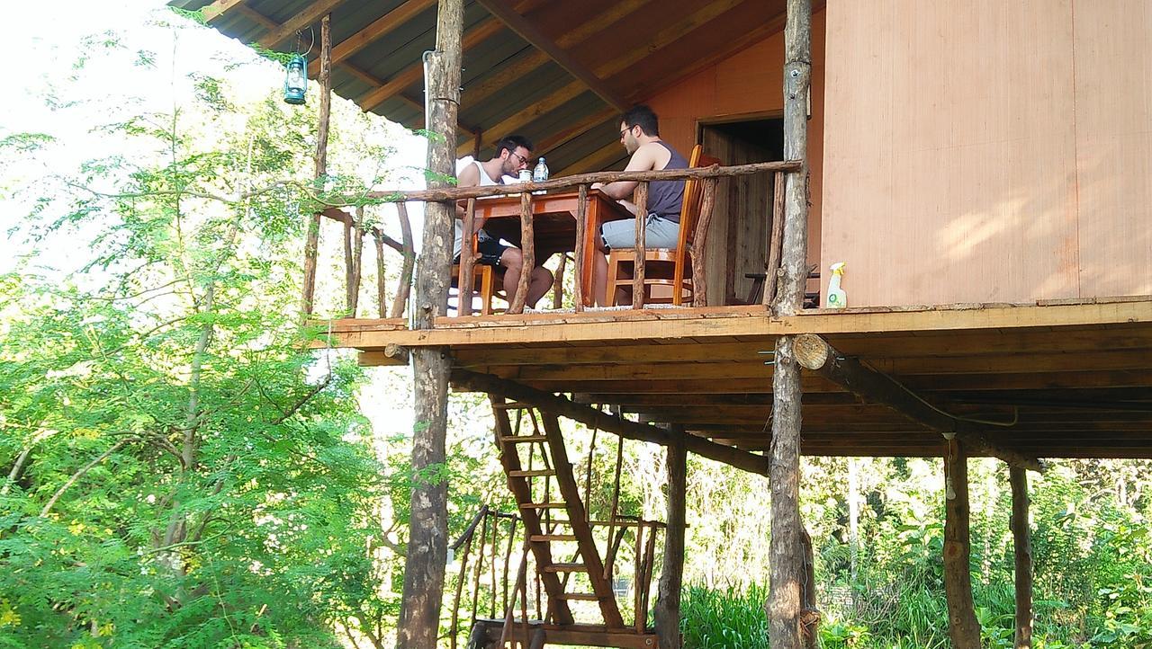 Appartamento Akash Treehouse Sigiriya Esterno foto